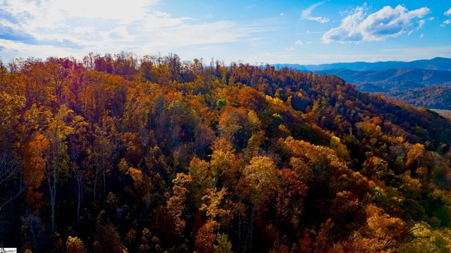 200 Chestnut Mountain Road, Travelers Rest, SC 29660