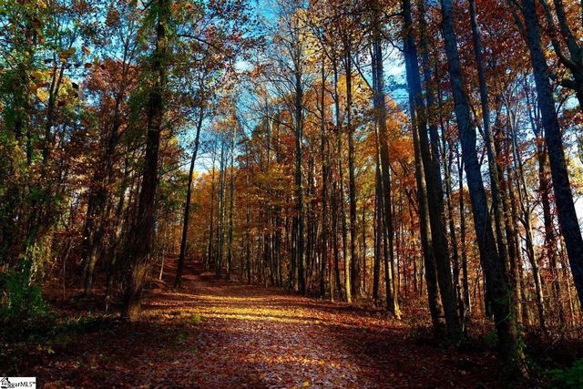 200 Chestnut Mountain Road, Travelers Rest, SC 29660