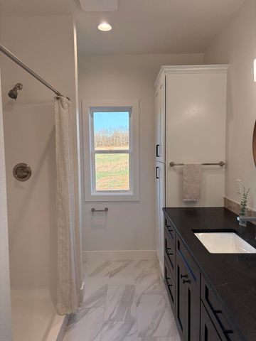 20203 Lawrence 2008p, Everton, MO 65646