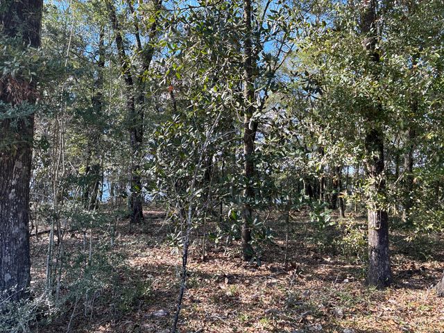Lot 57 Seacoast Way, Defuniak Springs, FL 32433