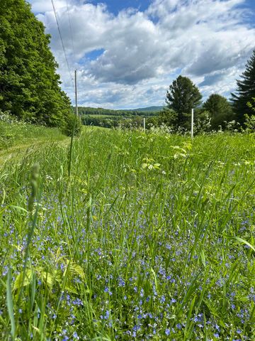 847 Morgan Mile Road, Brookfield, VT 05036