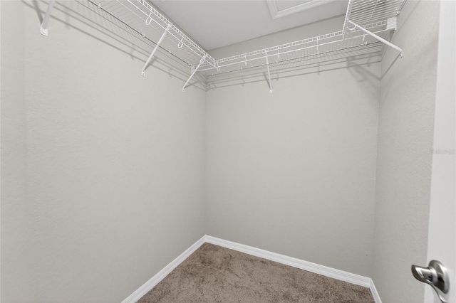 12367 MARSHLAND STREET, Riverview, FL 33579