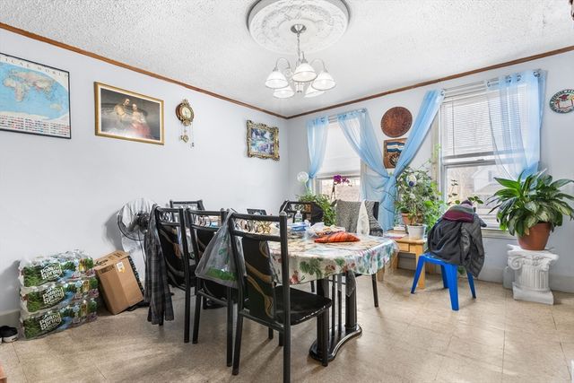 11 Gay Head St, Boston, MA 02130