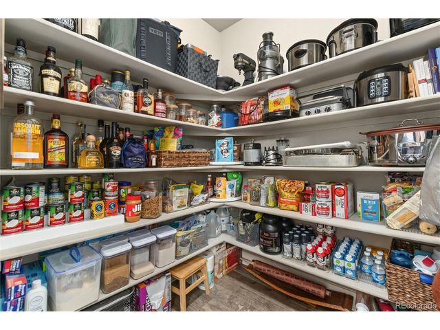 10045 Tall Oaks St, Parker, CO 80134