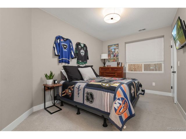 10045 Tall Oaks St, Parker, CO 80134