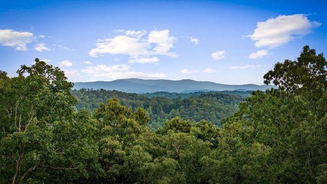241 Wolf Creek Mountain Road, Mineral Bluff, GA 30559