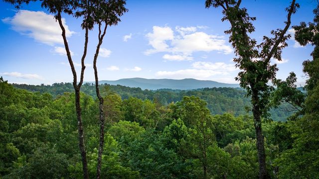 241 Wolf Creek Mountain Road, Mineral Bluff, GA 30559