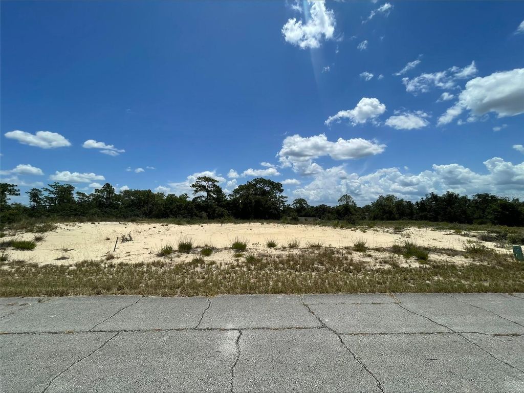 1344 HOMOSASSA COURT, Poinciana, FL 34759