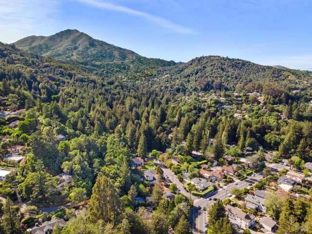 3 Piedmont Rd, Larkspur, CA 94939