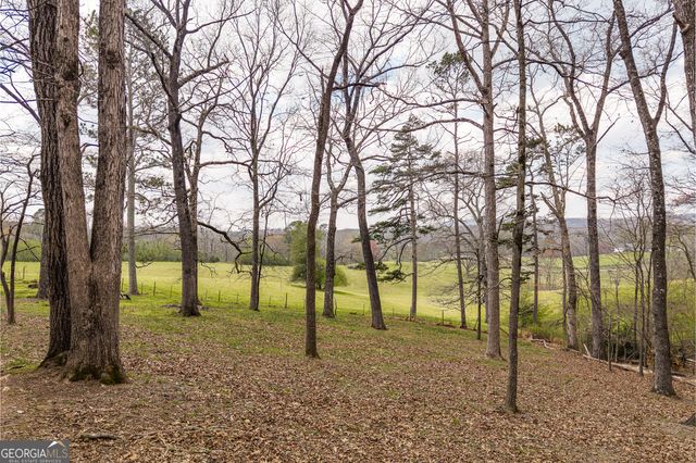 195 Wise Acres Road, Ellijay, GA 30536