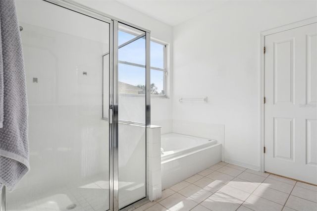 22536 MAGNOLIA TRACE BOULEVARD, Lutz, FL 33549