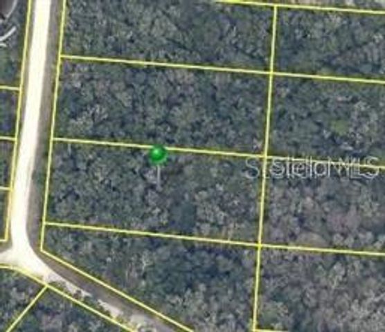 7490 SHASTA STREET, Webster, FL 33597