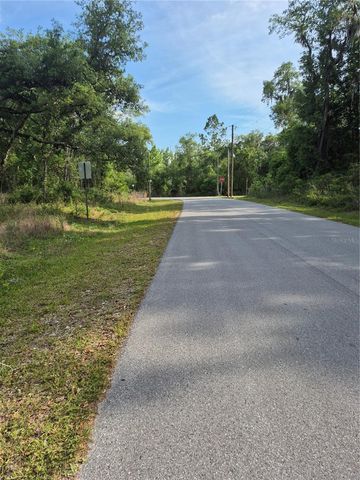7490 SHASTA STREET, Webster, FL 33597