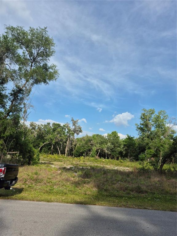 7490 SHASTA STREET, Webster, FL 33597