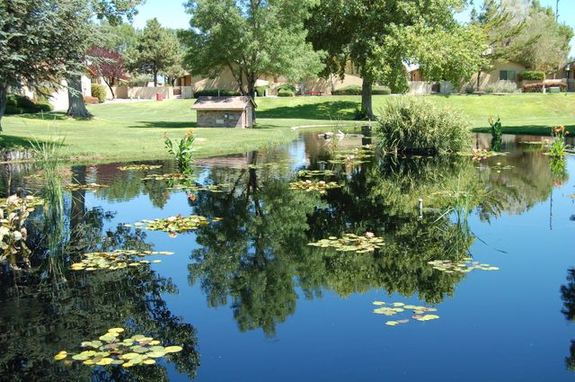 10609 Griffith Park Drive NE, Albuquerque, NM 87123