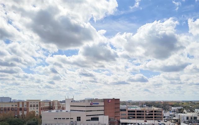 2520 Robinhood 800, Houston, TX 77005