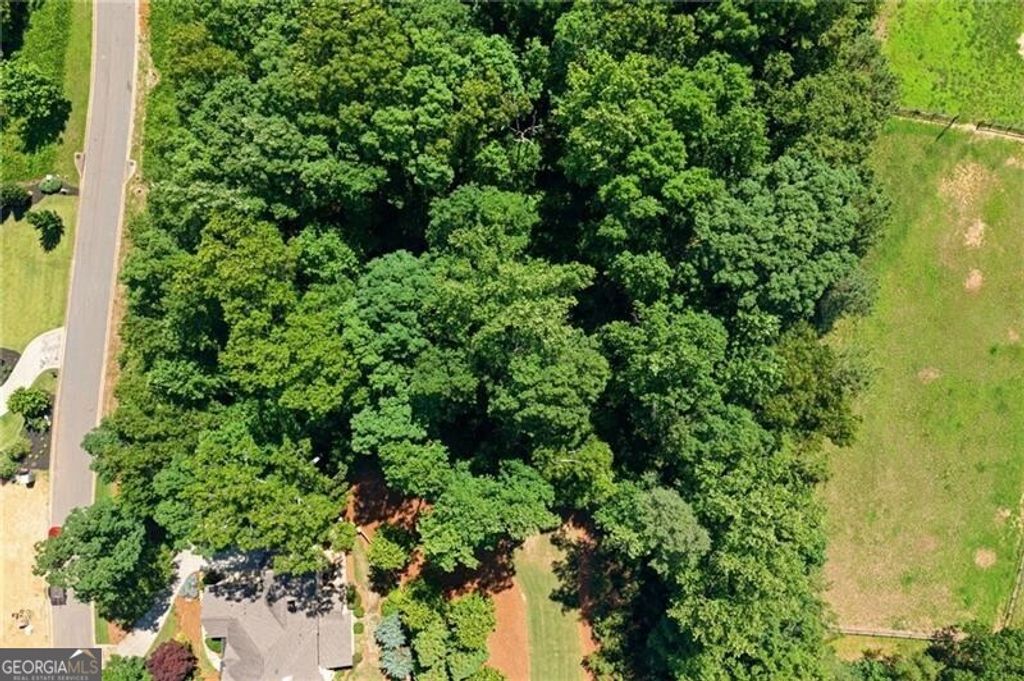 234 Traditions Drive, Alpharetta, GA 30004
