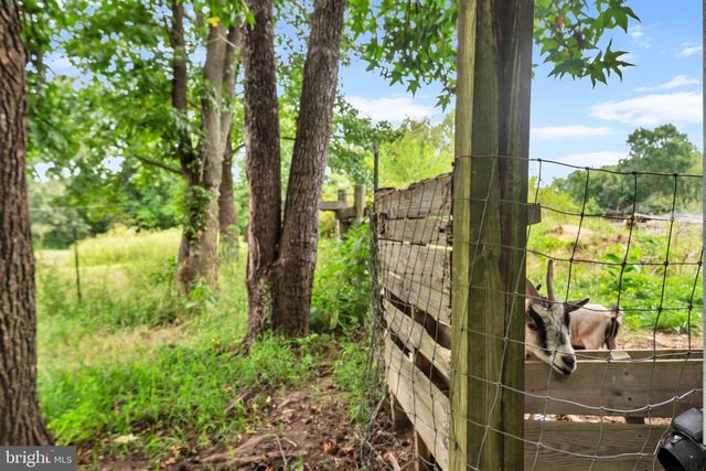 8935 FAIRGROUND RD, Bel Alton, MD 20611
