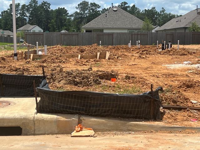 2986 Sir Ian Blake Drive, Conroe, TX 77301