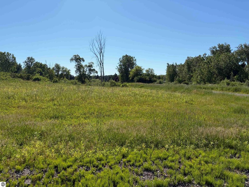 Image 4 of property listing at TBD S Lincoln Road, Mt Pleasant, MI 48858