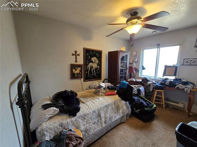 855 Will Stutley Drive, Divide, CO 80814