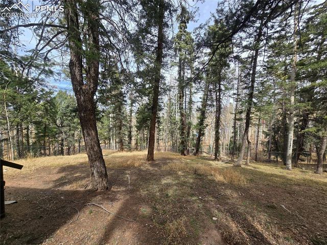 855 Will Stutley Drive, Divide, CO 80814