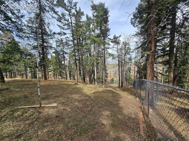 855 Will Stutley Drive, Divide, CO 80814
