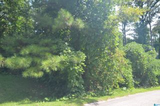 0 HILLTOP ROAD, Weaver, AL 36277