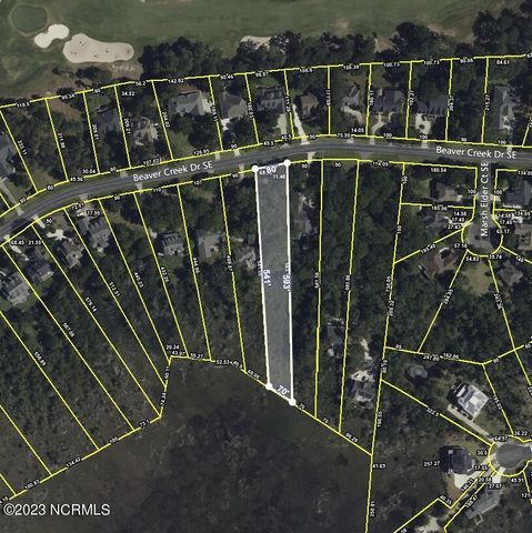 3229 Beaver Creek Drive SE, Boiling Spring Lakes, NC 28461