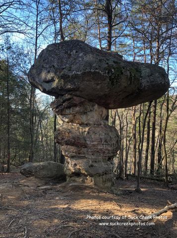 6174 Highway 27, Chattanooga, TN 37405