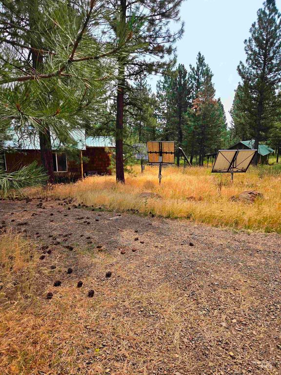 2850 Council Cuprum, Council, ID 83612 photo 3