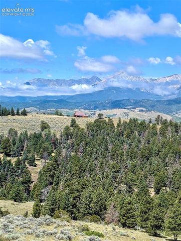 110 Guendel Place, Fort Garland, CO 81133