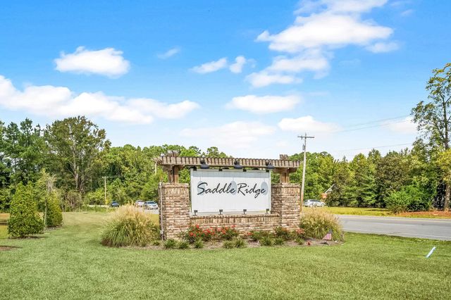 263 Saddle St, Conway, SC 29527