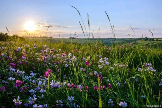 2937 Keep Drive, Sedalia, CO 80135