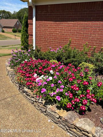 7740 Meadow Ridge Lane, Olive Branch, MS 38654