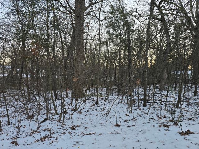 Lot 750 Doe Run Road, Gun Barrel City, TX 75156