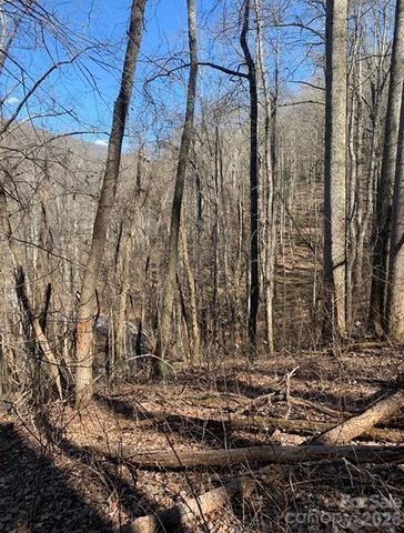 Lot 3 Cedar Mountain Road 3, Asheville, NC 28803