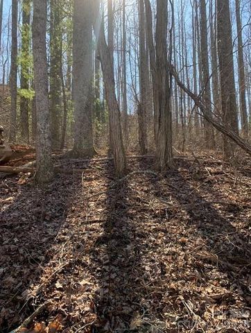 Lot 3 Cedar Mountain Road 3, Asheville, NC 28803