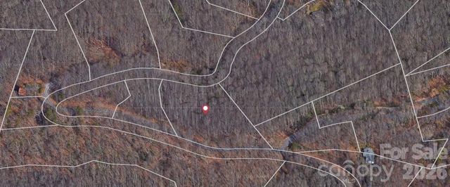 Lot 3 Cedar Mountain Road 3, Asheville, NC 28803