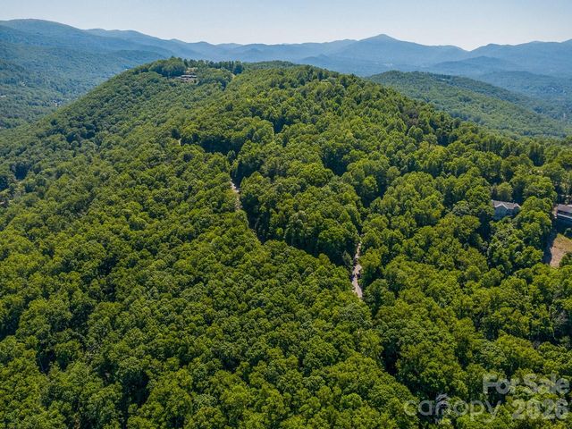 Lot 3 Cedar Mountain Road 3, Asheville, NC 28803