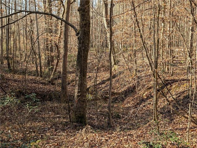 2475 Pumpkintown Highway, Pickens, SC 29671