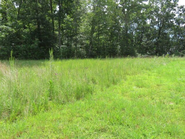 126 Adena Hills Drive, Jeffersonville, KY 40337