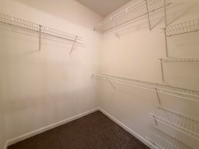 10097 BLOOMSBURY AVE, Cordova, TN 38016