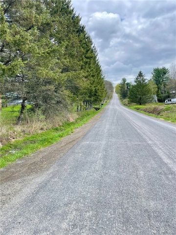 163 Lawton-Scheer Road, Norwich-town, NY 13815