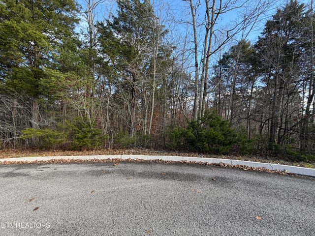 DIVOT Place, Tazewell, TN 37879