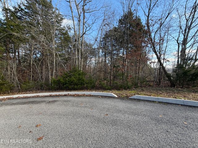 DIVOT Place, Tazewell, TN 37879