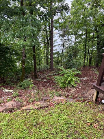 252 Mountain Mist Drive, Dierks, AR 71833