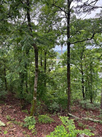 252 Mountain Mist Drive, Dierks, AR 71833