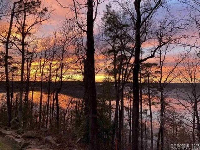 252 Mountain Mist Drive, Dierks, AR 71833