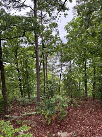 252 Mountain Mist Drive, Dierks, AR 71833